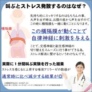 ストレス解消 グッズ 叫ぶの商品一覧 通販 Yahoo ショッピング