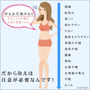 お腹 温める グッズ ヒーター内蔵 あったか ...の詳細画像4