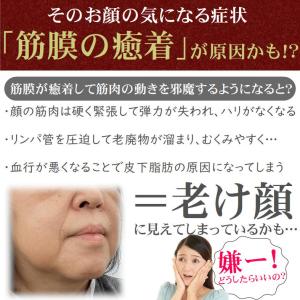 フェイスポインター バネ式 美顔器 ポスポス ...の詳細画像3