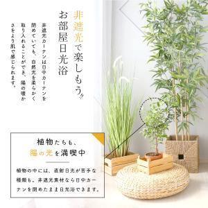 カーテン 既製サイズ シャイナ 4枚セット 選...の詳細画像4