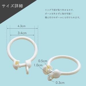 シャワーリングランナー 10個入り<br...の詳細画像1