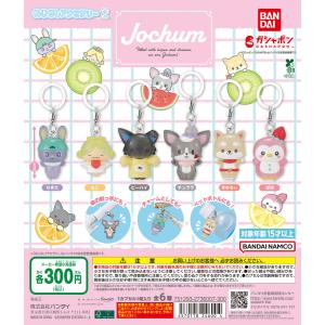 JOCHUM めじるしアクセサリー2 【全6種 コンプリート セット】 ｜ ジェオチャム フルコンプ カプセルトイ ガチャ ガシャ