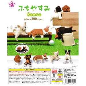 ふちやすみ 色々わんこ 【全5種 コンプリート セット】 ｜ フルコンプ カプセルトイ エール ガチャ ガシャ