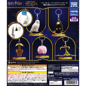 ハリー・ポッター/ファンタスティック・ビースト ...の商品画像