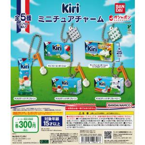 BANDAI（バンダイ） SONTON ミニチュアチャーム 全10種セット コンプ