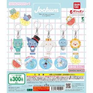 JOCHUM めじるしアクセサリー1 【全5種 コンプリート セット】 ｜ ジェオチャム フルコンプ カプセルトイ ガチャ ガシャ