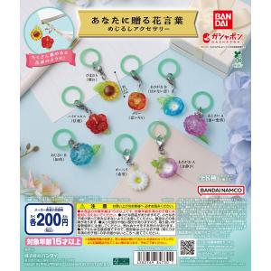 BANDAI Suzy's Zoo スージー・ズー めじるしアクセサリー 全5種