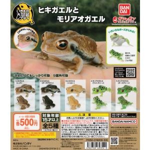 ネイチャーテクニカラー 小笠原 特装版 全6種セット ガチャ : 壱刻館