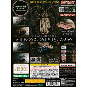 カメ 02 いきもの大図鑑アドバンス オンライン版 フルコンプ いきもの大図鑑アドバンス カメ02 [全4種セット フルコンプ
