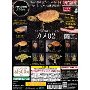 いきもの大図鑑アドバンス オオキバウスバカミキリとハンミョウ オンライン版全４種 いきもの大図鑑アドバンス オオキバウスバカミキリとハンミョウ