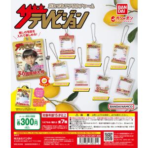 BANDAI たまごっち めじるしアクセサリー 全6種セット コンプ