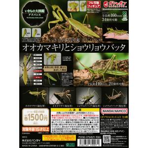 いきもの大図鑑アドバンス カメ02 [全4種セット フルコンプ