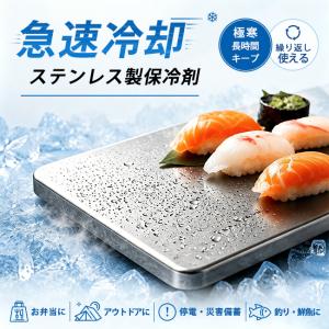 【新品10%OFF・2点購入で20%OFF】ステンレス保冷剤 急速冷却 長時間 強力保冷 小型 コンパクト 繰り返し使用 冷蔵 冷凍対応 お弁当 熱中症対策 アウトドア 爆買