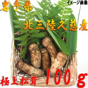 松茸 国産　極上松茸（マツタケ）岩手 北三陸 久慈産 まつたけ100g つぼみ開きミックス サイズおまかせ