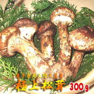 松茸 国産 まつたけ 極上松茸300g つぼみ 岩手 北三陸