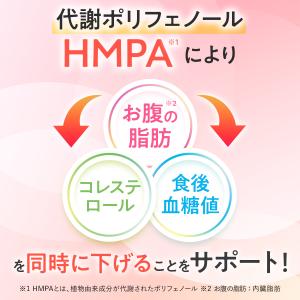 サンスター公式 すらなS 30本 健康道場 機...の詳細画像4