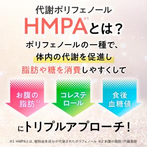 サンスター公式 すらなS 30本 健康道場 機...の詳細画像5