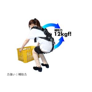 アシストスーツ AeroBack シングル・農作業の詳細画像2