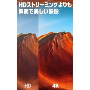 Fire TV Stick 4K Plus |...の詳細画像3