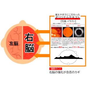 【今だけ30%OFF 在庫残り僅か】中学受験理...の詳細画像3