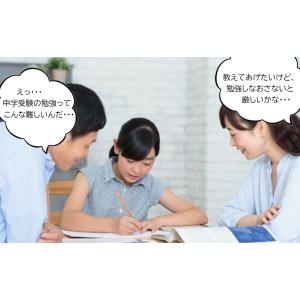 【今だけ30%OFF 在庫残り僅か】中学受験算...の詳細画像1
