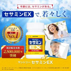 セサミンEX 270粒(約3ヶ月分) サントリ...の詳細画像1