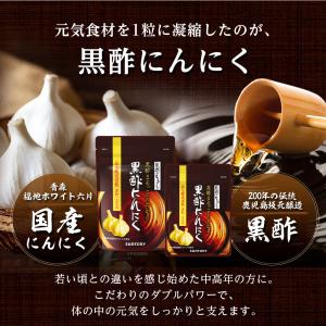 黒酢にんにく サプリメント 180粒(約3ヶ月...の詳細画像5
