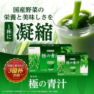 極の青汁(きわみのあおじる) ケルセチンプラス...の詳細画像4