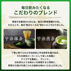 極の青汁(きわみのあおじる) ケルセチンプラス...の詳細画像5