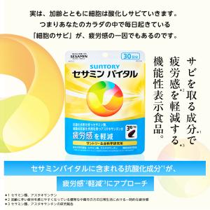 セサミンバイタル 90粒パウチ(約1ヶ月分) ...の詳細画像4