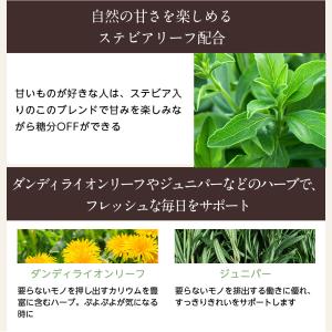 enherb ハーブティー すっきりキュッとグ...の詳細画像4