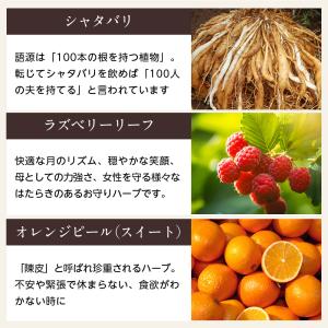 enherb ハーブティー 女性リズムを笑顔で...の詳細画像4