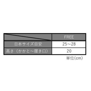 エアロソックス(ブラック)【返品・交換不可】の詳細画像2