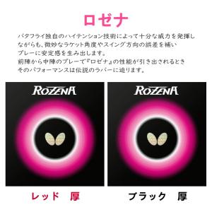 バタフライ BUTTERFLY 卓球ラケットセ...の詳細画像4
