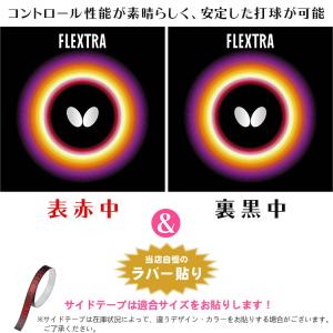 バタフライ 新入生応援セット 初心者向け エク...の詳細画像3