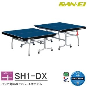 MIZUNO（ミズノ） 卓球台 国際規格サイズ セパレート式卓球台