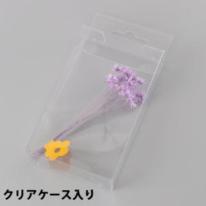 スターフラワーミニ ミニパック パープル_No...の詳細画像1