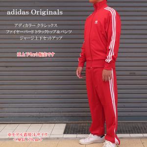 adidas アディダス　スノーボードウェア　パンツ　グリーン　L グリーン（緑）系 L adidas(アディダス) パンツ・ボトムス
