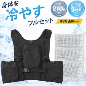 空調風神服 アイスベスト メッシュベスト&保冷剤3個セット 熱中症対策 作業服 春夏用 男女兼用 99130 作業着 F-F【2026春夏新作】