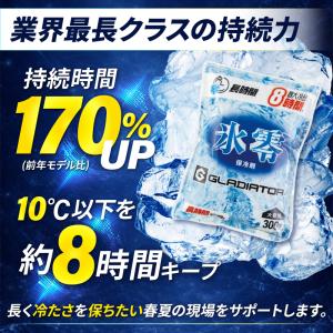 アイスベスト 保冷剤 1個 300g(単品)コ...の詳細画像2