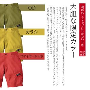 寅壱 作業ズボン 作業着 作業服 春夏用 TO...の詳細画像4