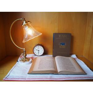 LED電球付き ＜メーカー直販＞サンヨウ SUNYOW FC-600A 416