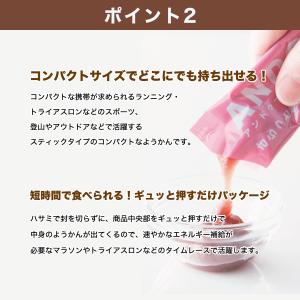箱無し発送 おまけ付き 福壽堂秀信 ANDO ...の詳細画像5