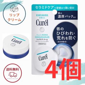 Curel 花王 キュレル リップケア バーム 4.2g リップバーム 全国送料
