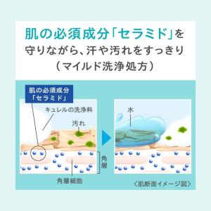花王 キュレル ボディウォッシュ&ロー...の詳細画像3
