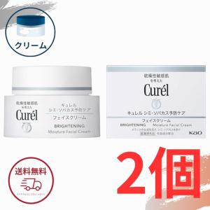 Curel 花王 キュレル 美白ケア 乳液 110ml 美白乳液 全国送料無料