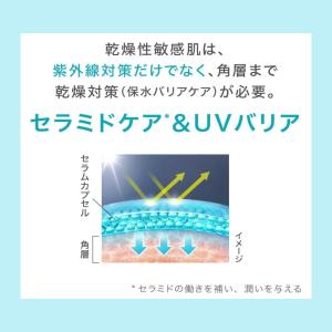 キュレル 日焼け止め 潤浸保湿 スキンリペアU...の詳細画像4