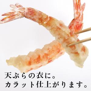 米粉 国産 グルテンフリー お米の粉 お料理自...の詳細画像2