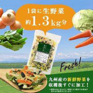 乾燥野菜ミックス 国産 野菜日和 100g×2...の詳細画像2