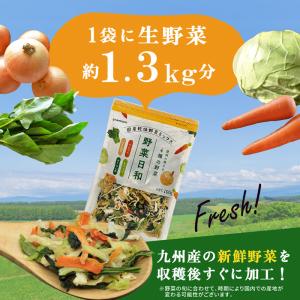 乾燥野菜ミックス 国産 野菜日和 100g×2...の詳細画像2
